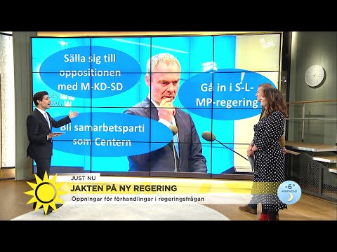 Liberalerna riskerar att bli irrelevanta efter Centerns krav - Nyhetsmorgon (TV4)