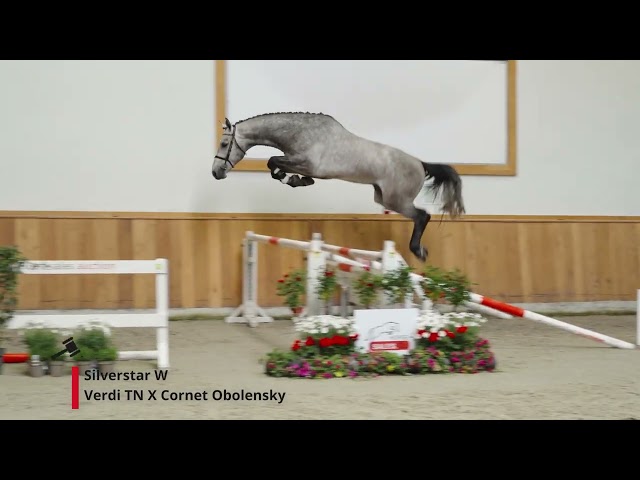 Silverstar W (Verdi x Cornet Obolensky)