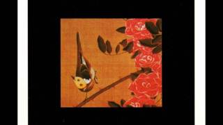 Susumu Yokota - The Colour Of Pomegranates