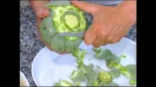 Tourner un artichaut camus