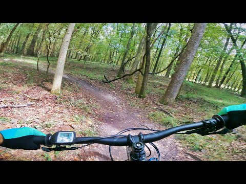My First Ride on an eBike...Here's how it went