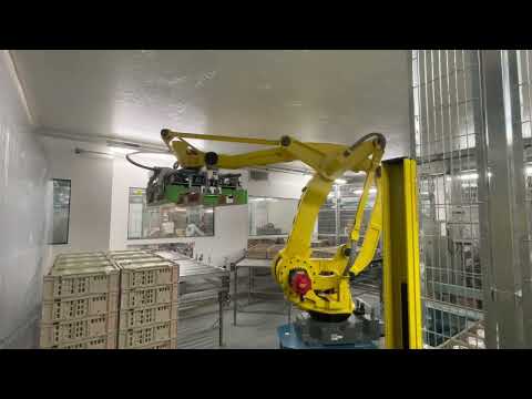 Fanuc Roboter um Gebinde zu palettieren | Migros - Estavayer Lait SA (ELSA)