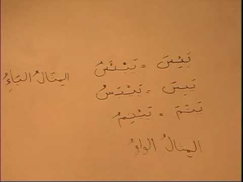 madina book 2 lesson 24    PART 3