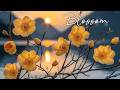 Soft Acoustic Guitar ~ Gentle Evening Melodies for Deep Stress Relief