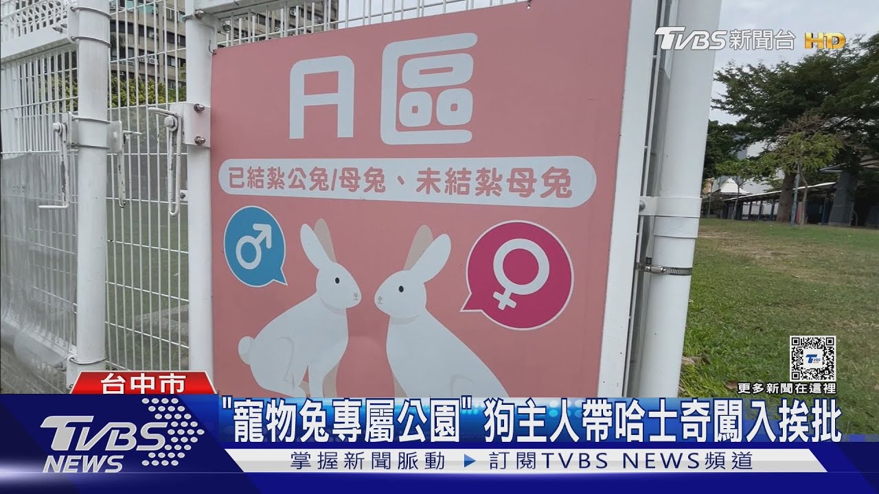 「寵物兔專屬公園」　狗主人帶哈士奇闖入挨批