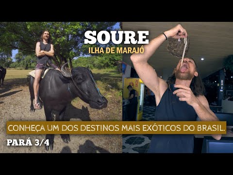 Soure Ilha do Marajó - Guia de viajem: Praias, Banho com Búfalos, Comidas exóticas e muitas dicas