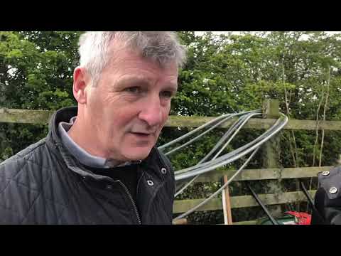 Star Sports Greyhound Derby: DROOPYS VERVE