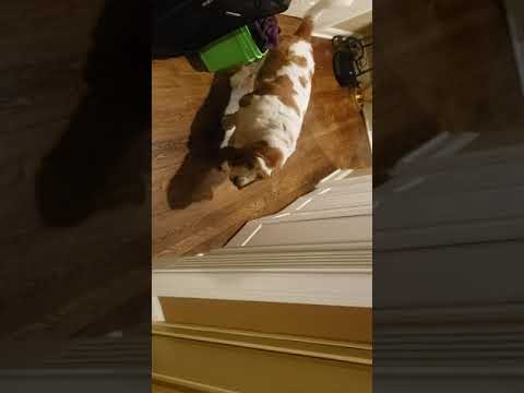 I make the house payments and everyone completley ignores me.   everyone.