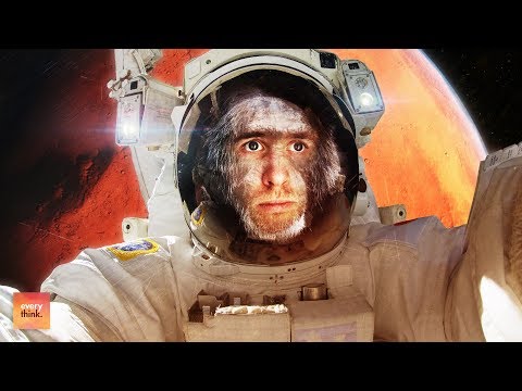 Should We Send Animals to Mars? Video