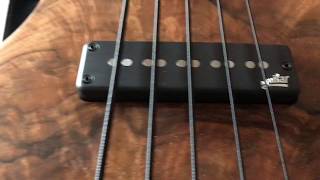 Video thumbnail for Testing Aguilar AG 700 & DB210 | Alpher Mako Elite 5 Bass | Vincent Cuevas by Vincent Cuevas