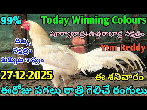 27 December 2025 Today Winning Colors//Today Colors Update//Kukkuta Sastram in Telugu