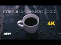 Chris Rea - Espresso Logic  2024 HD