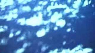 Dark Brown "Evaporate"    Short film by Bryan Lee Brown