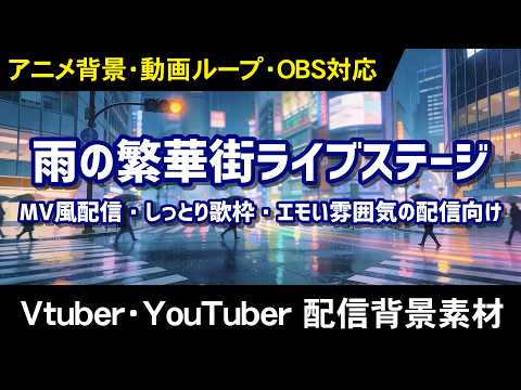 雨の繁華街ライブステージ サンプル動画