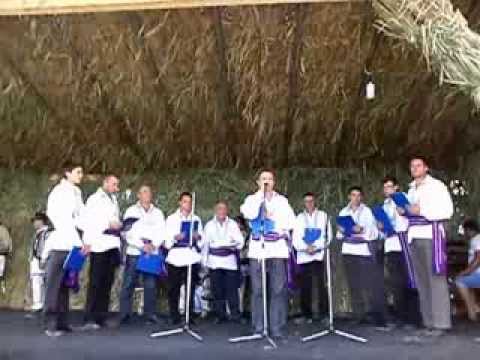 Fedesteni pe scena ...