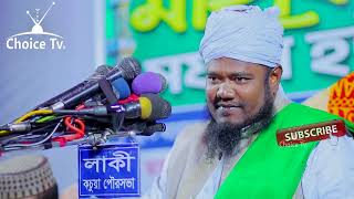 Qari ruhul amin siddiqui waz  রুহুল আমিন সিদ্দিকী New Waz 2024 Choice Tv h