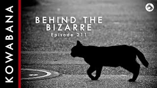 Kowabana: 'True' Japanese scary stories - Behind the Bizarre