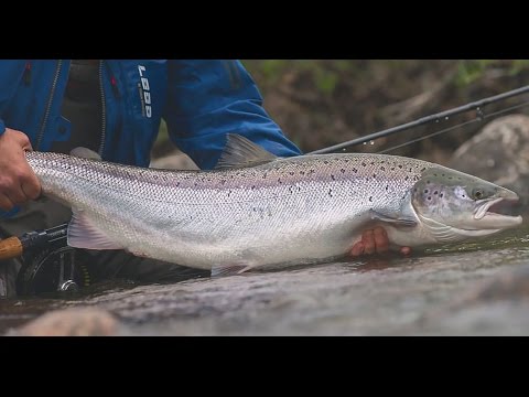 THE NORTH: Epic Week of Atlantic Salmon Fishing in Northern Norway