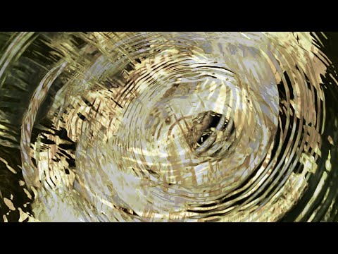 Video Art Project - Inspiration