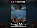 Moses Parts The Red Sea (The Red Sea Crossing) #moses #shorts #redsea