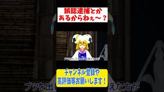 冷静にフランちゃんとヤバい奴とのやり取りを見守る藍しゃま  #Shorts #東方mmd ＃東方project #東方mmd紙芝居