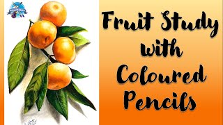 Fruits Study Observation Drawing in Coloured Pencils | Prismacolour Pencils | Still life