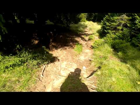 PIATRA ARSA PADINA traseu marcat din Bucegi