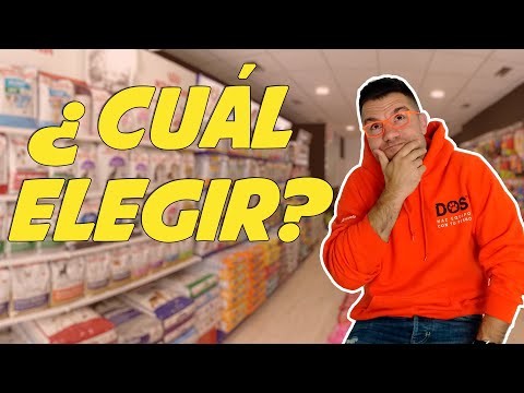 How to choose a good food for your dog 🍗🥩🐟 🤔