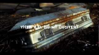 eisregen mein eichensarg | english lyrics