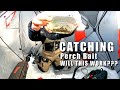 Video Thumbnail for Searching Northern Alberta for Big Perch
