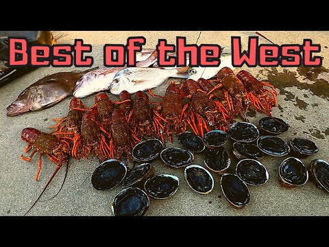 This is why they say West is best! - Crayfish and Paua haul!