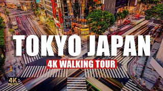 Exploring Tokyo: A Walkthrough of Japan's Capital 🇯🇵🍣⛩️