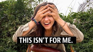 The END of Travel Vlogging? (LIFE UPDATES)