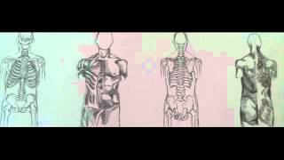 Stereodoping - Desenam