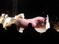 Circus 2012 008 AVI