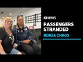 Bonza's snap flight cancellations confuse passengers as airline faces financial woes | ABC News