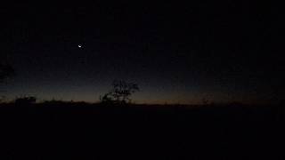 Celtic Japanese Fusion