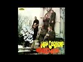 cartridge VAN DEN HUL,balanced output /Ken Colyer's Jazzmen –  Runnin' Wild / lp