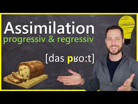 progressive und regressive Assimilation in der Phonologie