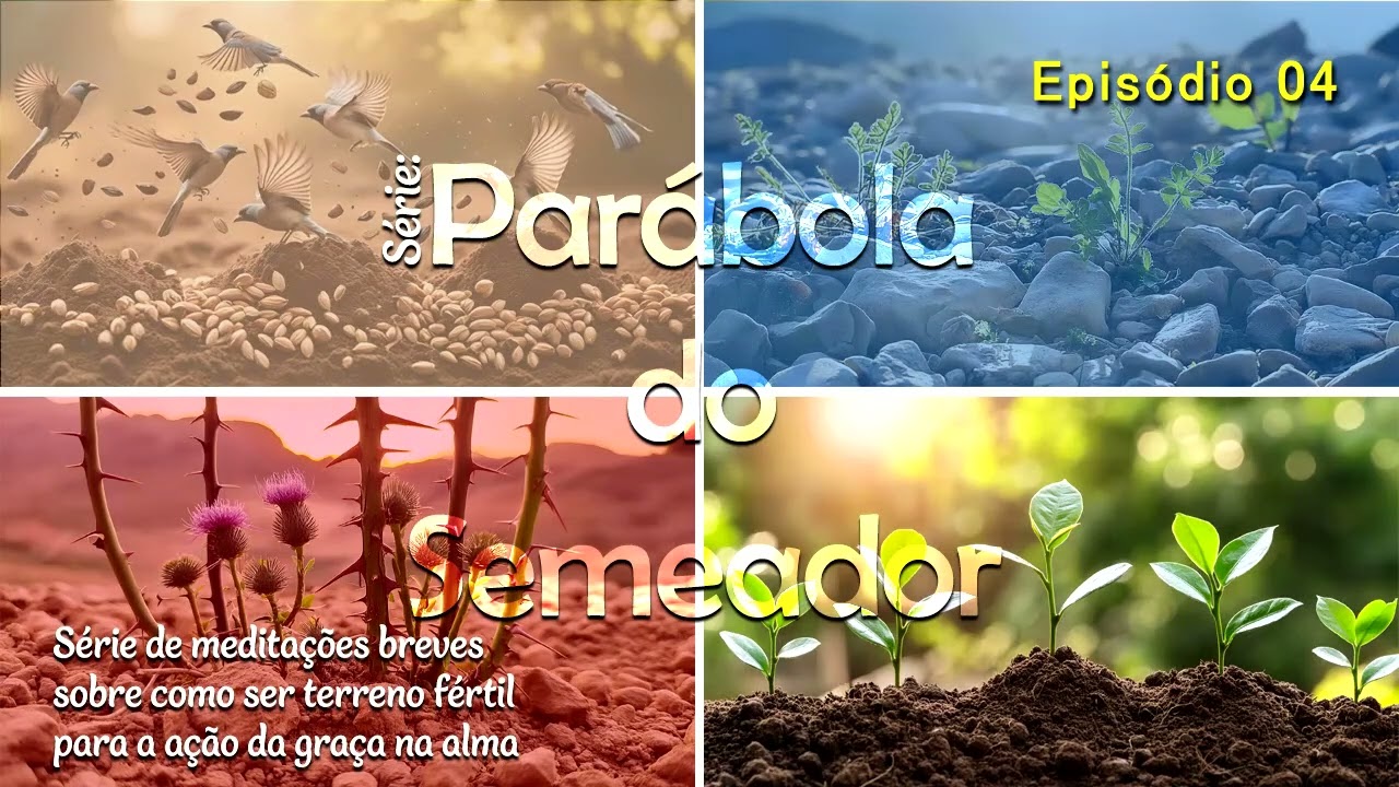 S33E04 - A rocha dura do orgulho