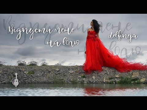 Відеограф, відео 1