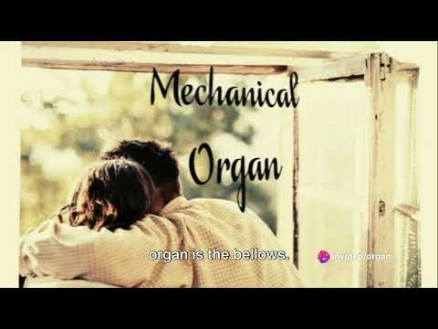 Mechanical Organ : The Symphony of Engineering