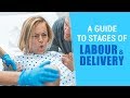 A Guide To Stages Of Labour Delivery