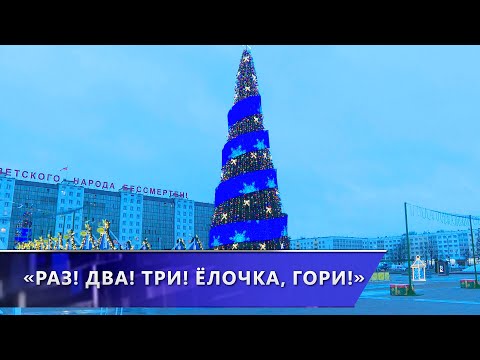 Общегородская акция «Зажжём ёлку вместе» дала старт праздничному марафону в Витебске