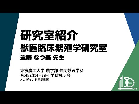 共同獣医学科 研究室紹介 獣医臨床繁殖学研究室 遠藤なつ美先生