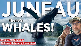 Quantum of the Seas | Juneau Port Day Whale Watching & Salmon Hatchery Excursion! | Royal Caribbean