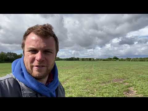 Day 38 of #cabisolation #lockDownLearning