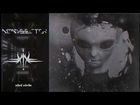 DEVOURED BY THE ABYSS -  INSIGNIFICANT CIVILIZATIONS