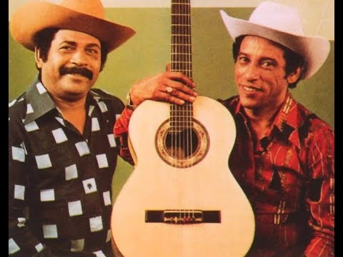 O GAVIÃO E A ANDORINHA - Tião Carreiro e Pardinho