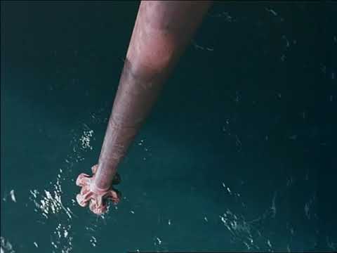 TOY - "Mechanism' (Official Video)
